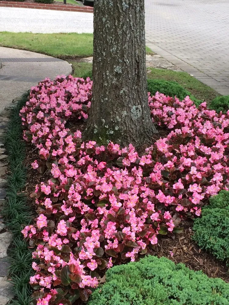 Affordable landscape design experts serving Ellendale, TN - Oasis Landscapes