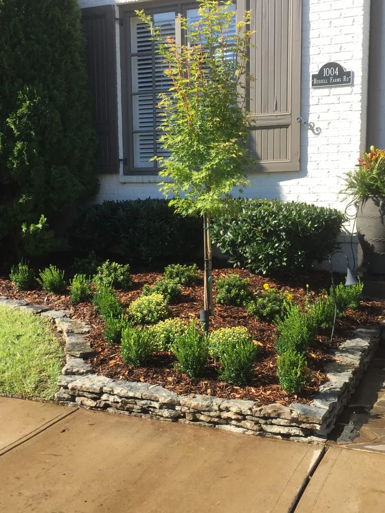 Local yard cleanup service experts serving Ellendale, TN - Oasis Landscapes