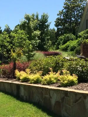 Oasis Landscapes