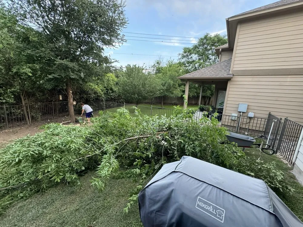 Affordable residential landscaping in Buda, TX by Oasis Landscaping & Fencing