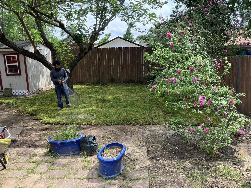 Custom yard cleanup service in Buda, TX - Oasis Landscaping & Fencing