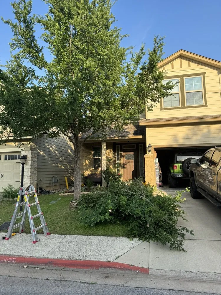 Trusted yard maintenance in Buda, TX - Oasis Landscaping & Fencing