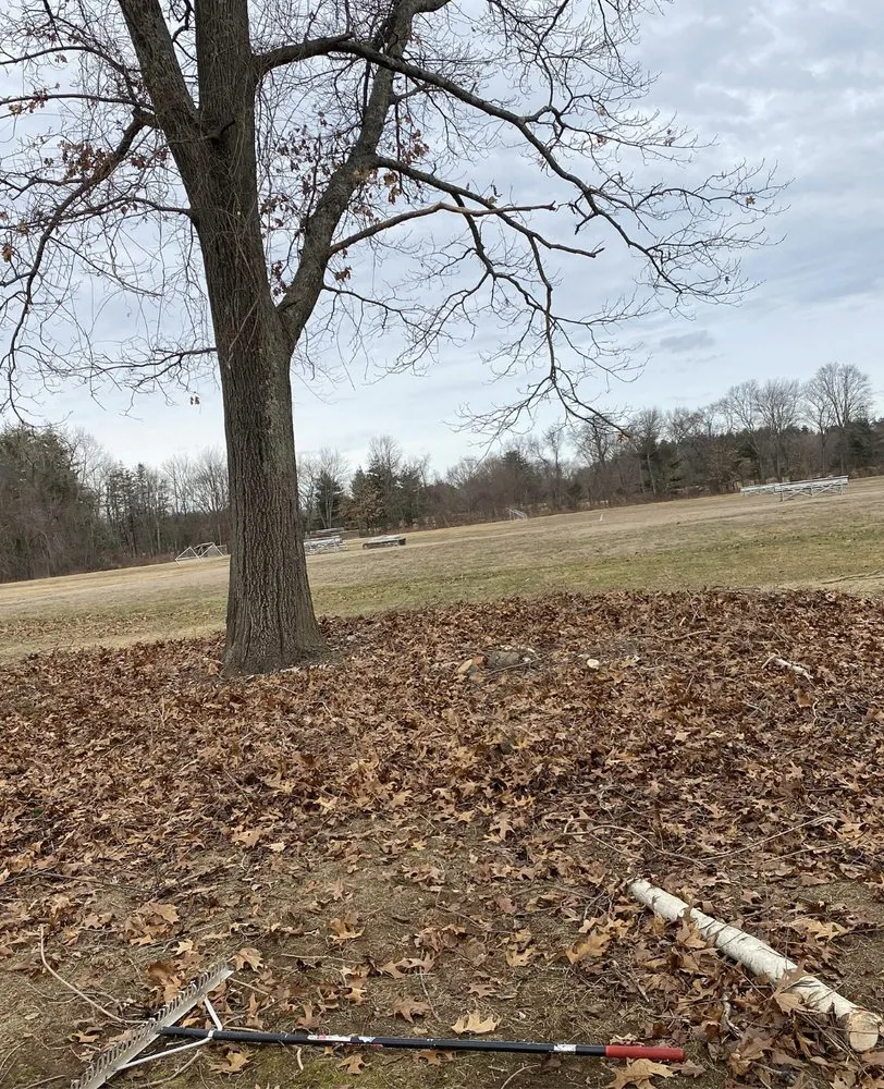 Professional landscape design experts serving Chicopee, MA - Oasis Landscaping & More