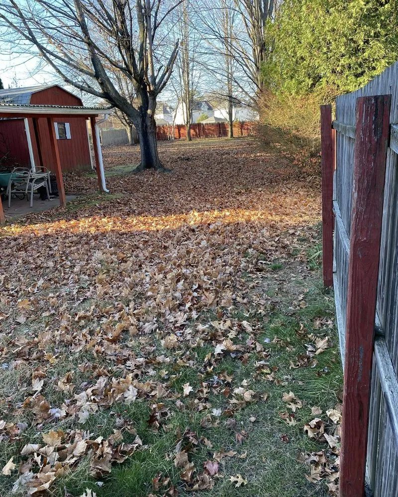 Trusted lawn mowing service experts serving Chicopee, MA - Oasis Landscaping & More