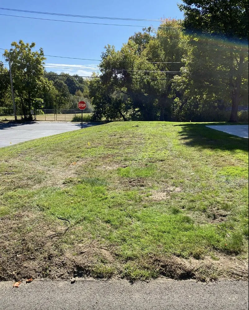 Professional yard cleanup service near you across Chicopee, MA - Oasis Landscaping & More