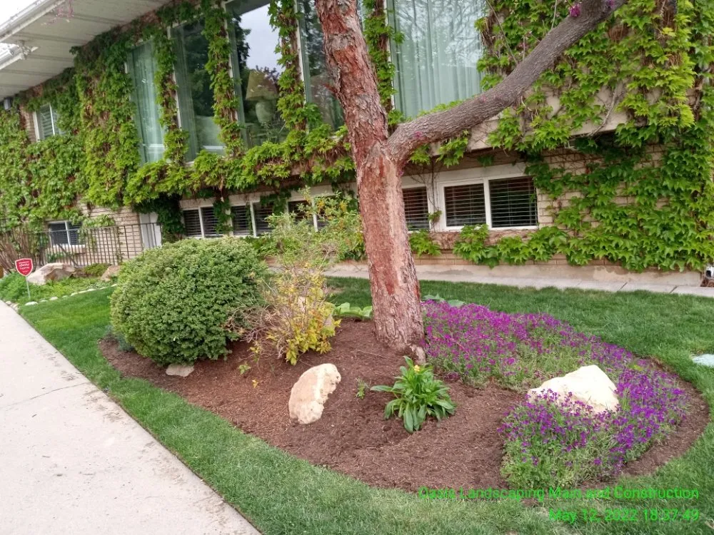 Trusted lawn care service near you in Sandy, UT by Oasis Landscaping and Construction