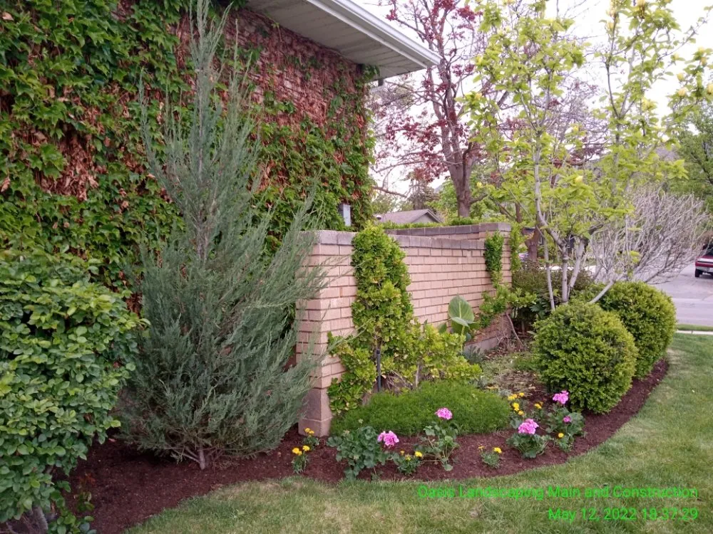 Local lawn care service with custom design across Sandy, UT - Oasis Landscaping and Construction