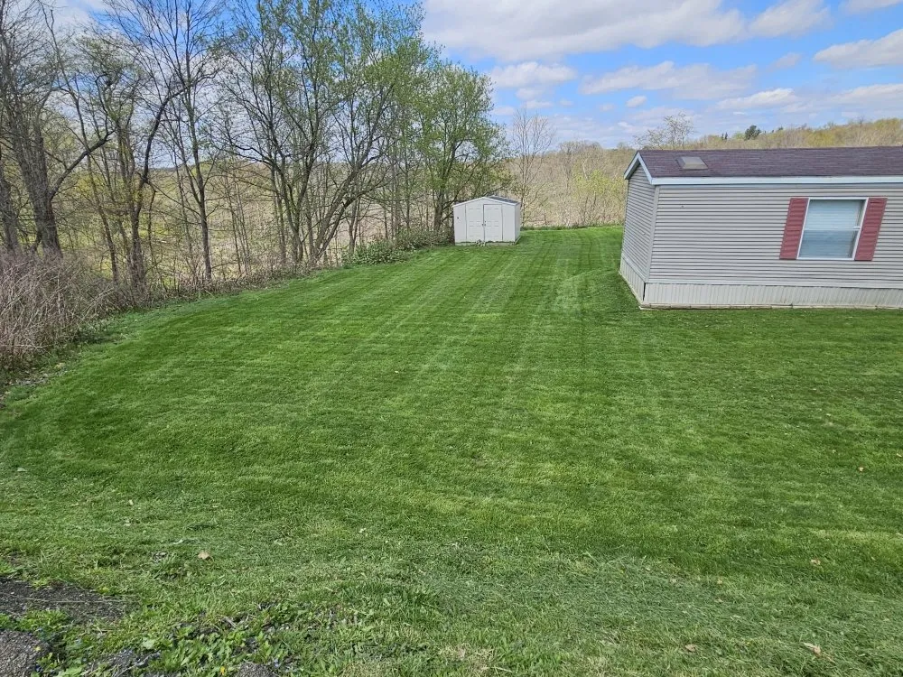 Local yard maintenance in Coraopolis, PA - Oasis Landscaping