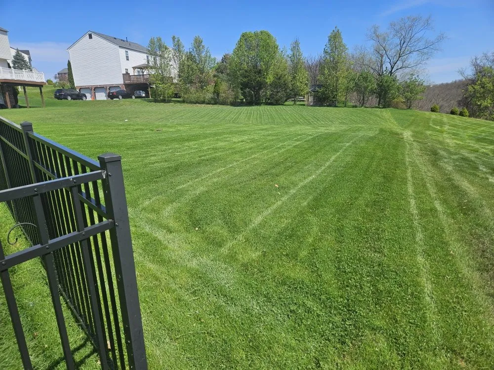 Professional lawn care service for beautiful yards across Coraopolis, PA - Oasis Landscaping