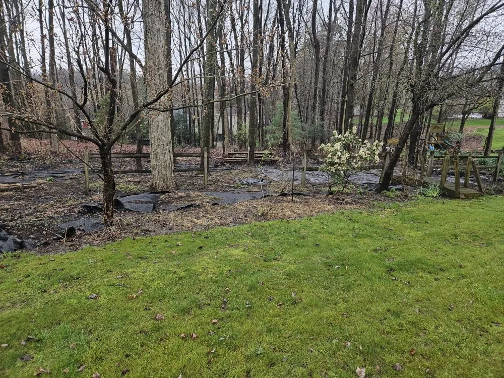 Local yard cleanup service experts serving Coraopolis, PA - Oasis Landscaping