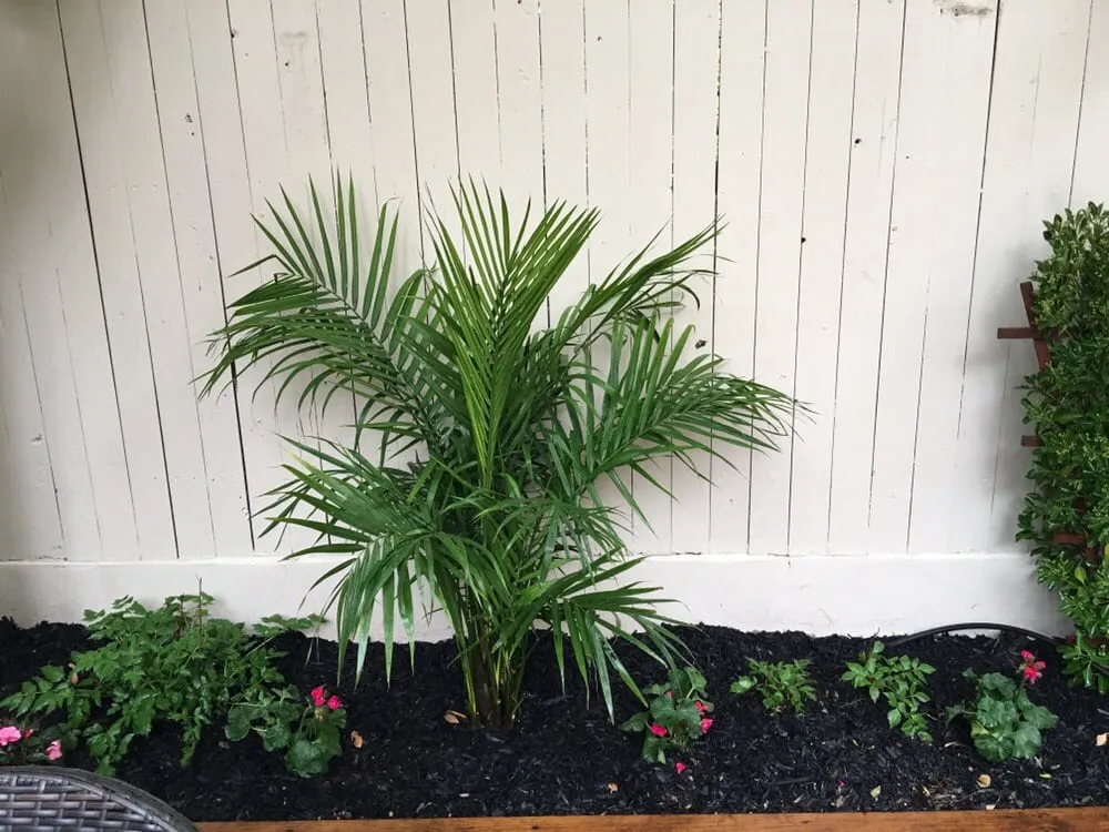 Reliable outdoor landscaping experts serving Glen Cove, NY - Oasis Landscaping