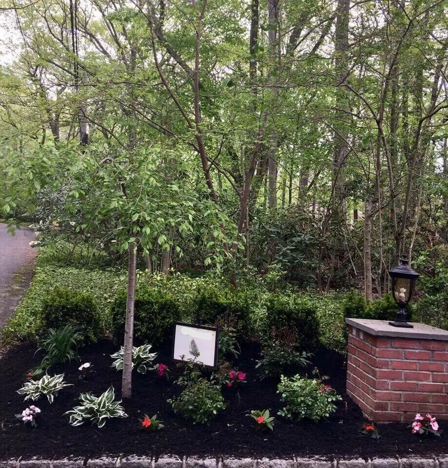 Top-rated yard maintenance for outdoor upgrades across Glen Cove, NY - Oasis Landscaping