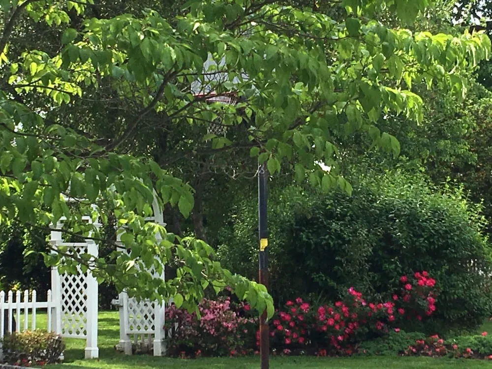 Expert garden landscaping for beautiful yards in Glen Cove, NY by Oasis Landscaping