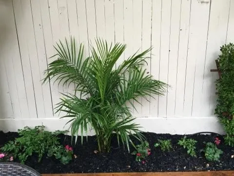 Top-rated garden landscaping with custom design across Glen Cove, NY - Oasis Landscaping