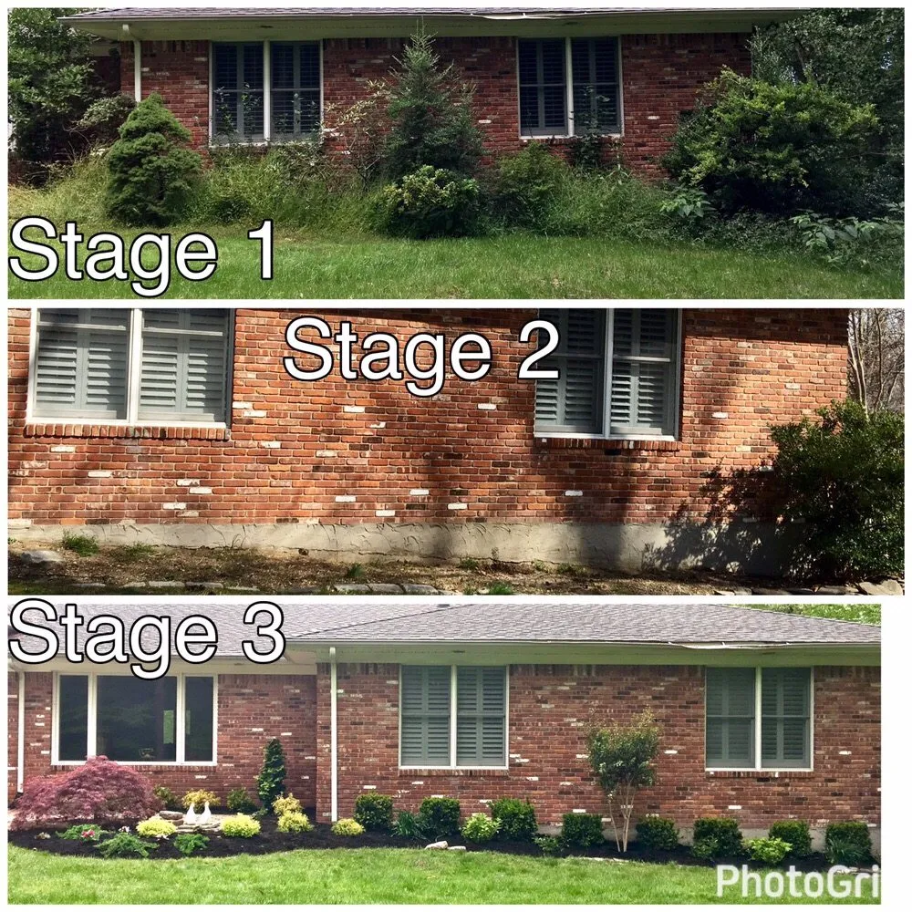 Expert yard cleanup service for year-round maintenance in Glen Cove, NY by Oasis Landscaping