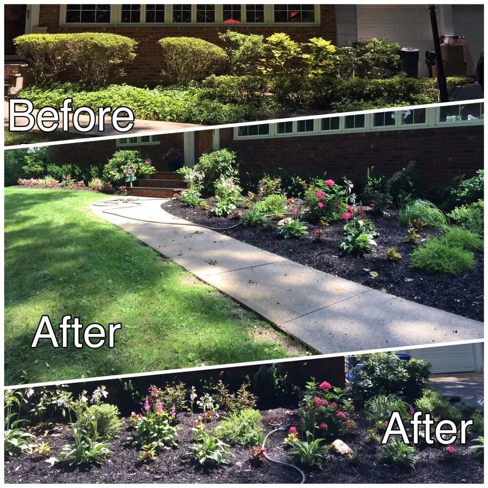 Trusted yard cleanup service experts serving Glen Cove, NY - Oasis Landscaping