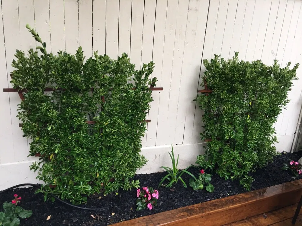 Reliable lawn care service in Glen Cove, NY - Oasis Landscaping