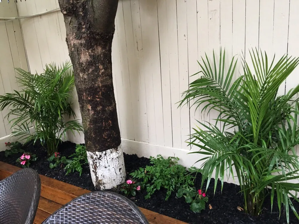 Top-rated lawn mowing service experts serving Glen Cove, NY - Oasis Landscaping