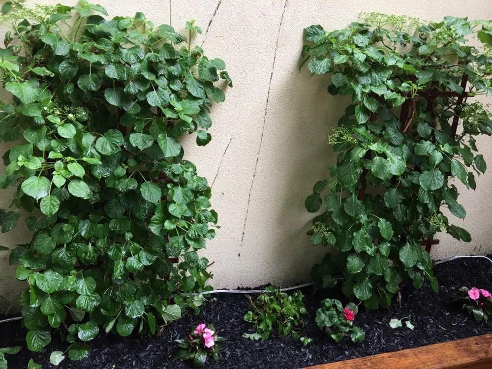 Expert outdoor landscaping in Glen Cove, NY by Oasis Landscaping