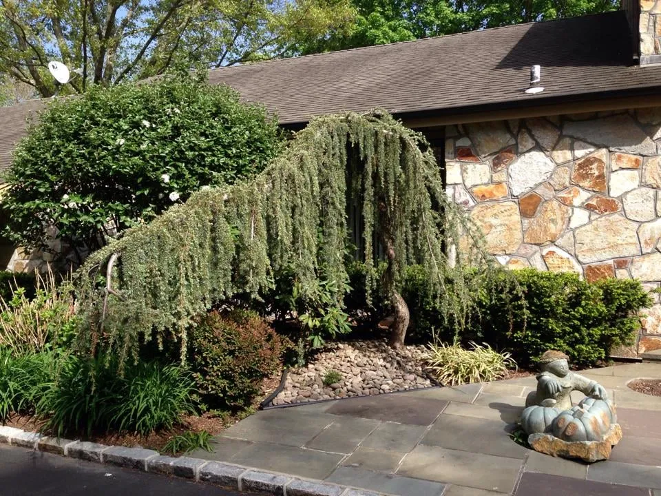 Trusted yard maintenance experts serving Glen Cove, NY - Oasis Landscaping