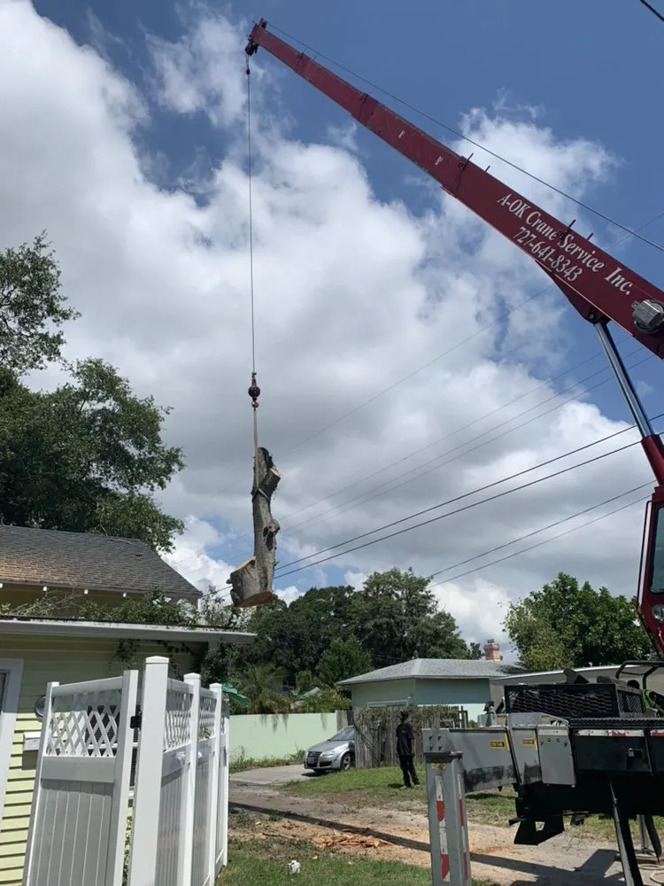 Custom landscaping services in Gulfport, FL by Oasis Landscaping