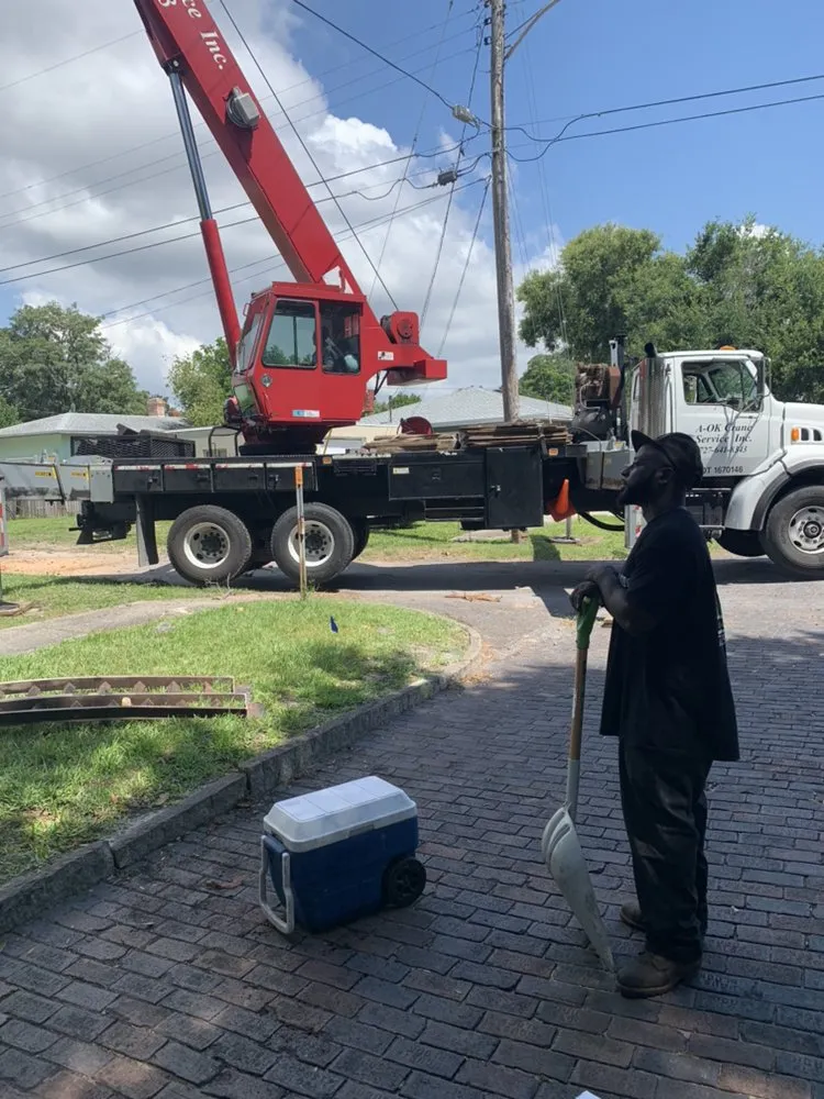 Expert landscaping services experts serving Gulfport, FL - Oasis Landscaping