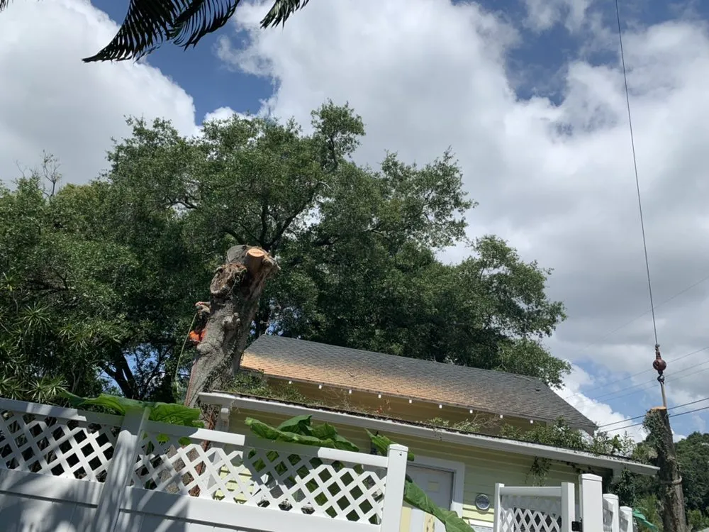 Professional landscape installation in Gulfport, FL - Oasis Landscaping