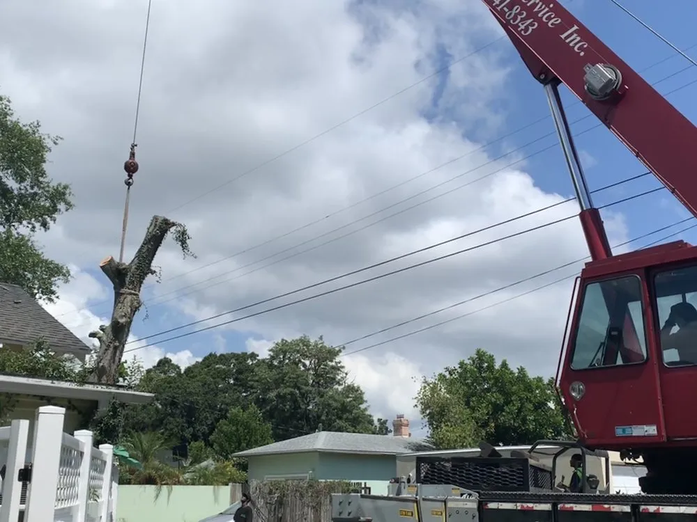 Expert garden landscaping in Gulfport, FL - Oasis Landscaping