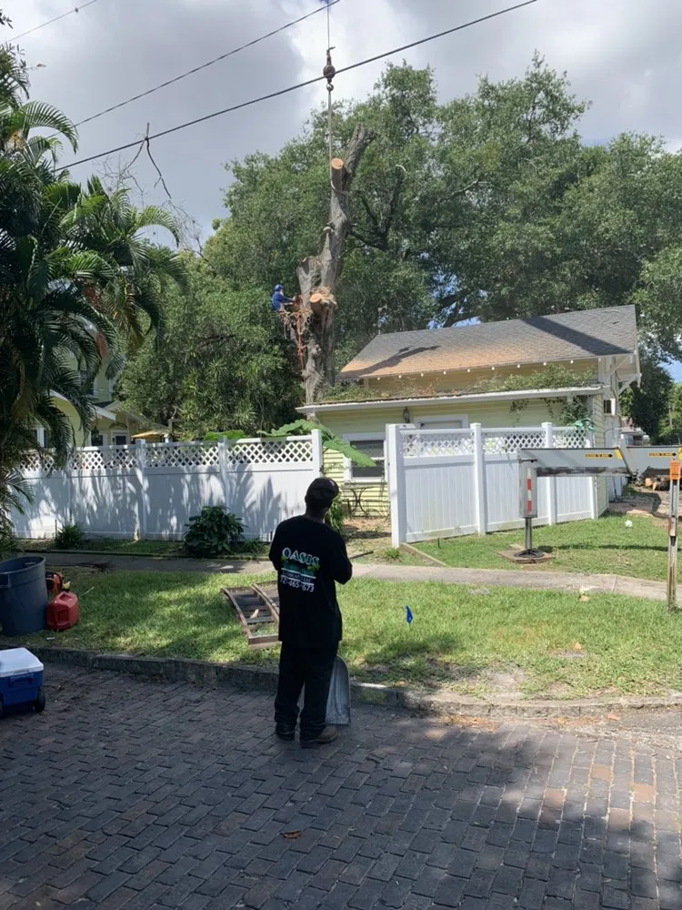 Top-rated landscape installation in Gulfport, FL by Oasis Landscaping