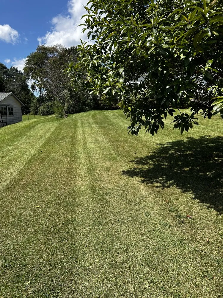 Local outdoor landscaping experts serving Easley, SC - Oasis Landscaping Services