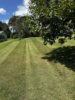 Oasis Landscaping Services Logo