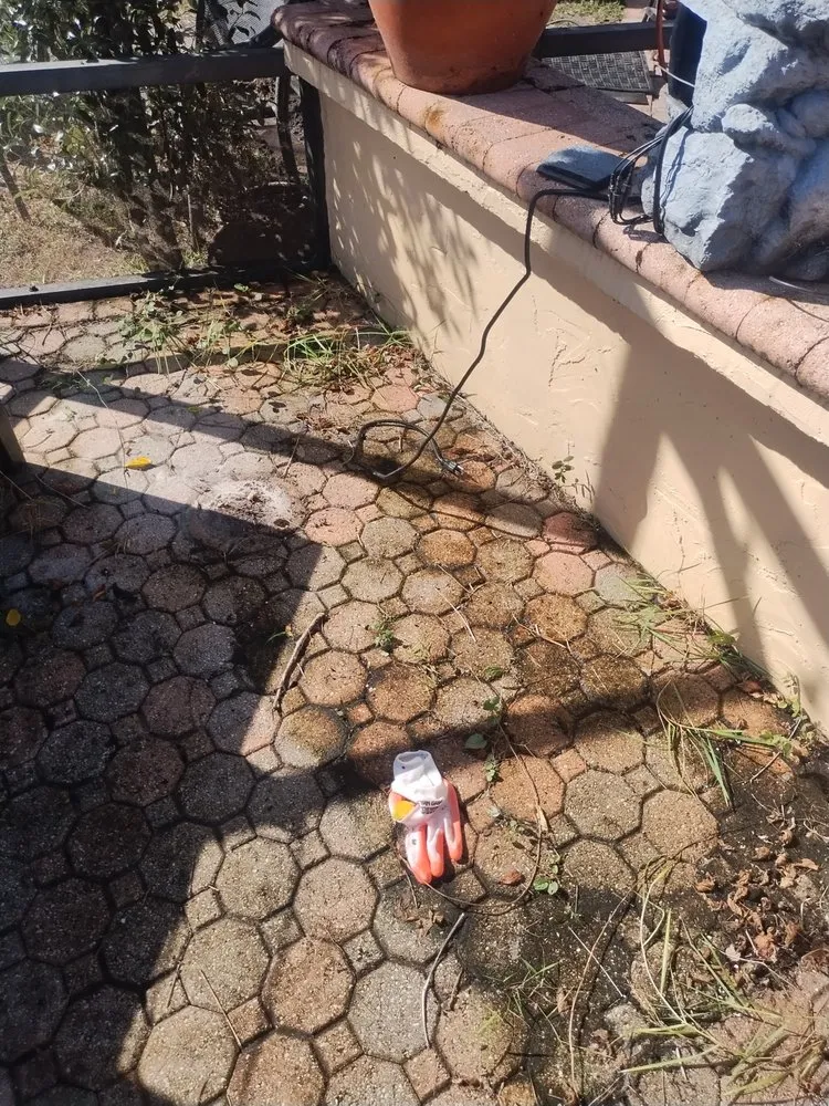 Affordable outdoor landscaping near you in Pompano Beach, FL by Oasis Lawn & Landscape