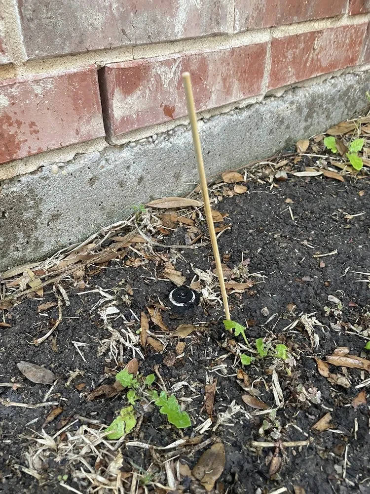 Professional yard cleanup service in Woodway, TX - Oasis Lawn and Garden