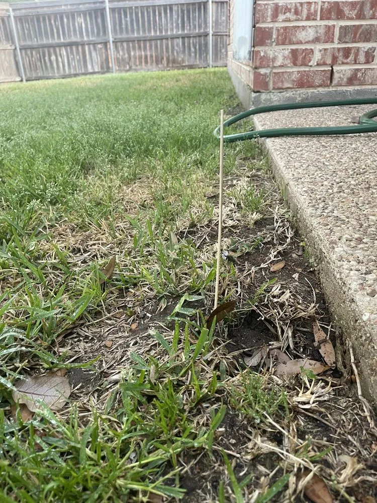 Trusted yard maintenance in Woodway, TX - Oasis Lawn and Garden