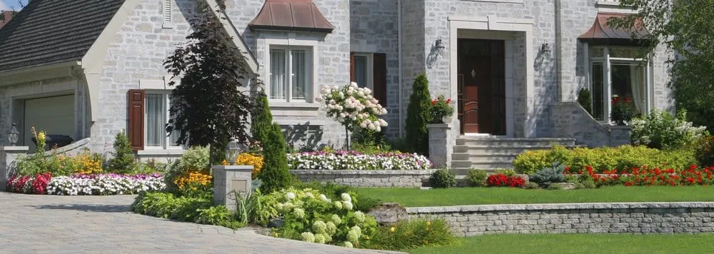 Local yard cleanup service in Longview, TX by Oasis Lawn Care