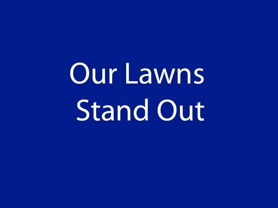 Reliable residential landscaping in Longview, TX - Oasis Lawn Care