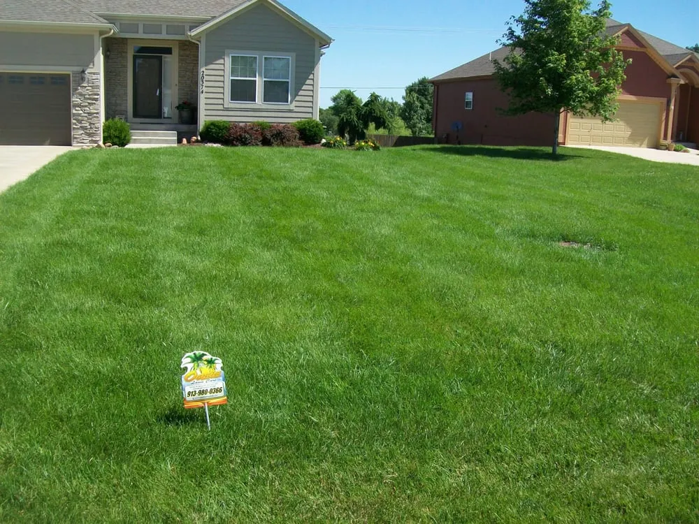 Expert landscape design in Louisburg, KS by Oasis Lawn Care