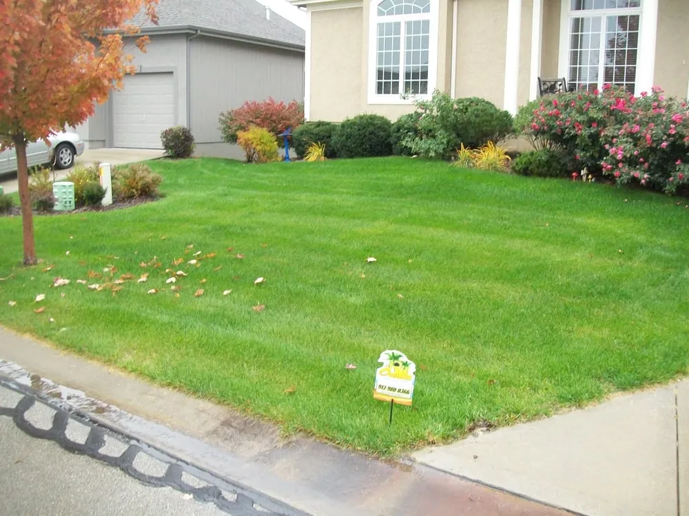 Reliable residential landscaping in Louisburg, KS - Oasis Lawn Care