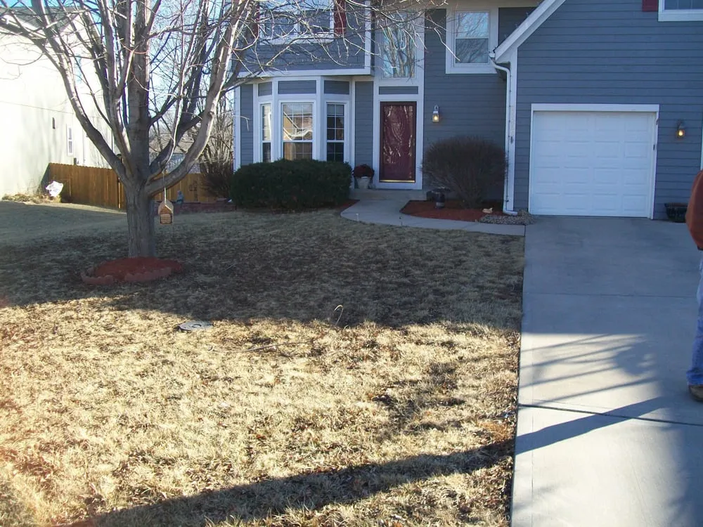 Professional outdoor landscaping in Louisburg, KS by Oasis Lawn Care