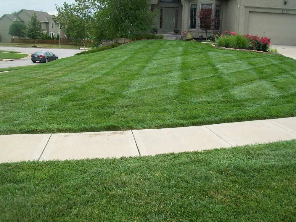 Top-rated landscape installation for year-round maintenance across Louisburg, KS - Oasis Lawn Care