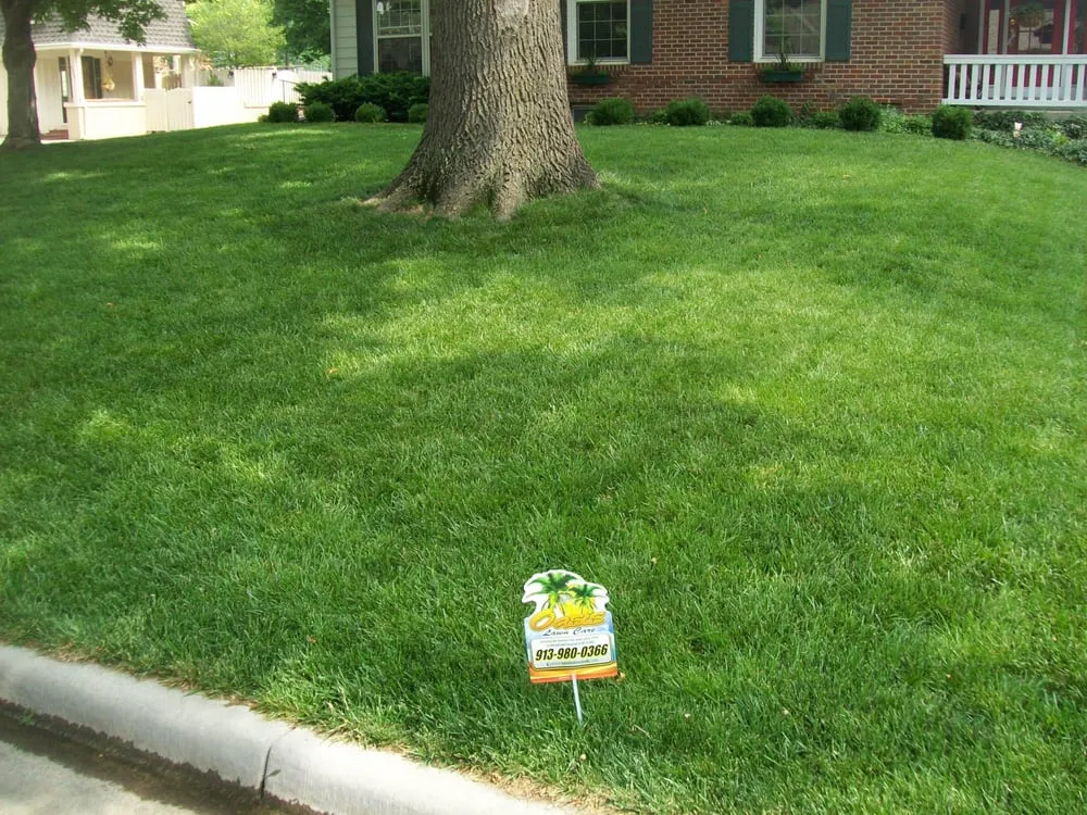 Affordable yard cleanup service in Louisburg, KS - Oasis Lawn Care