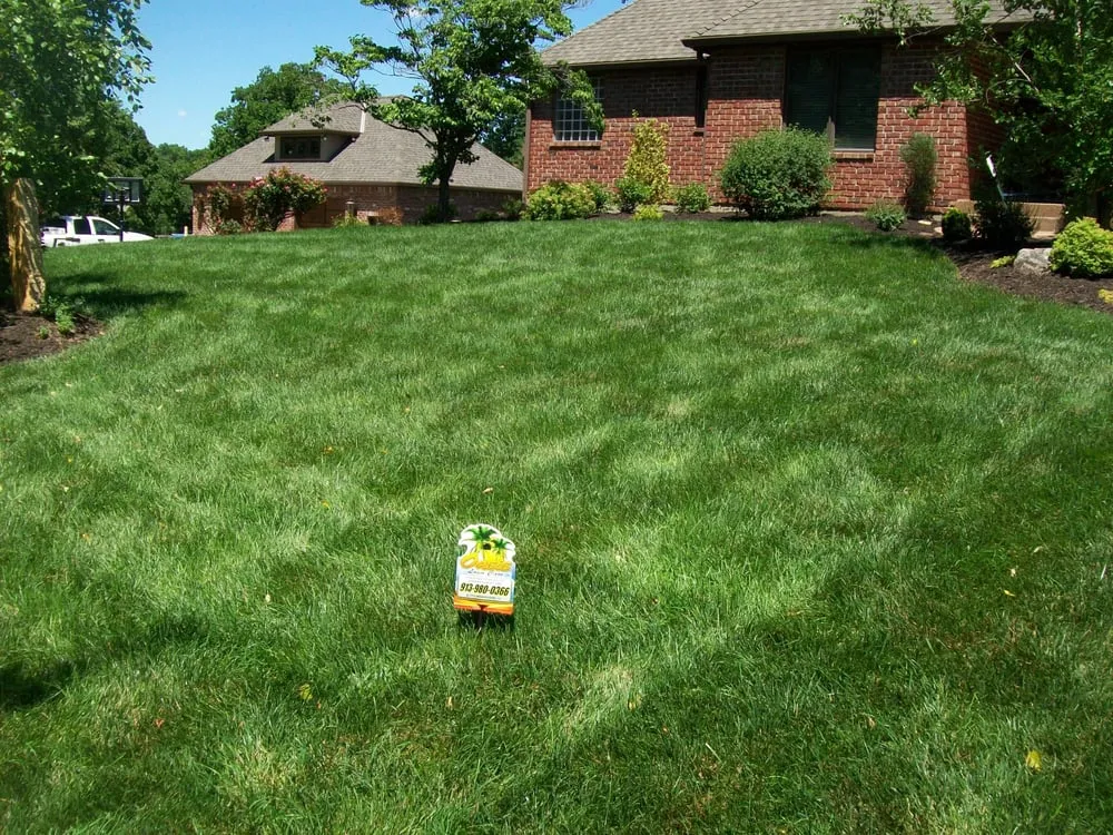 Expert landscape installation in Louisburg, KS by Oasis Lawn Care