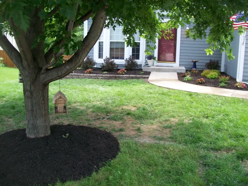 Affordable landscape installation in Louisburg, KS by Oasis Lawn Care