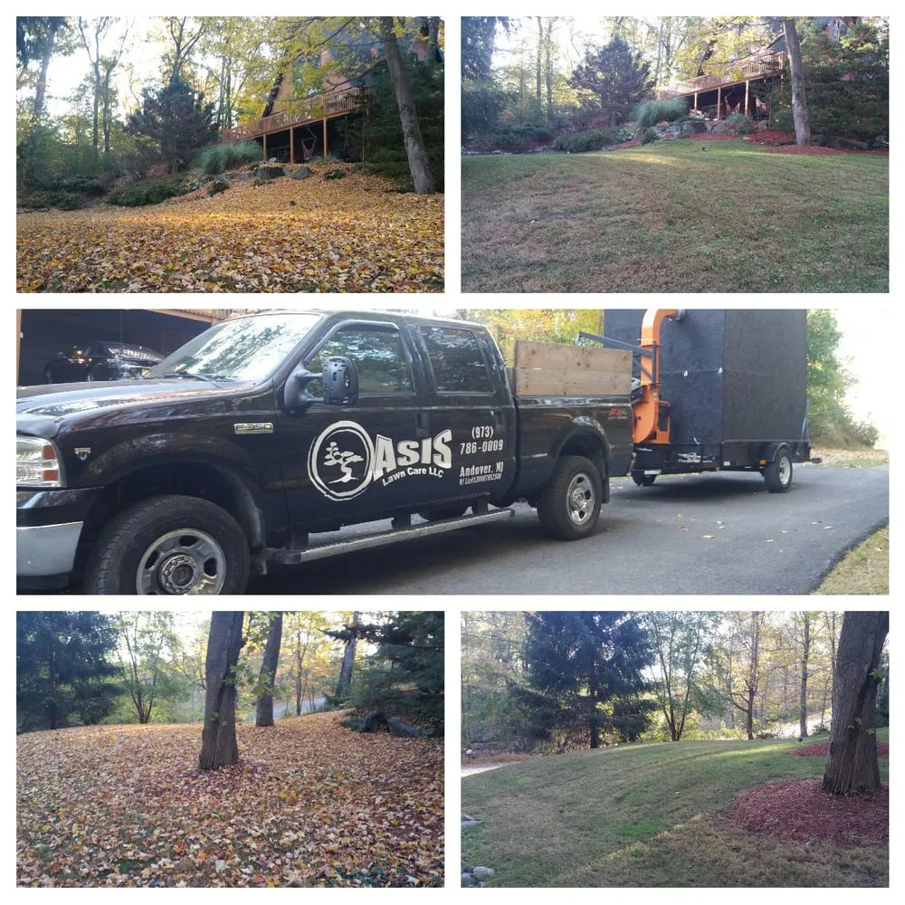 Affordable yard cleanup service in Newton, NJ by Oasis Lawn Care