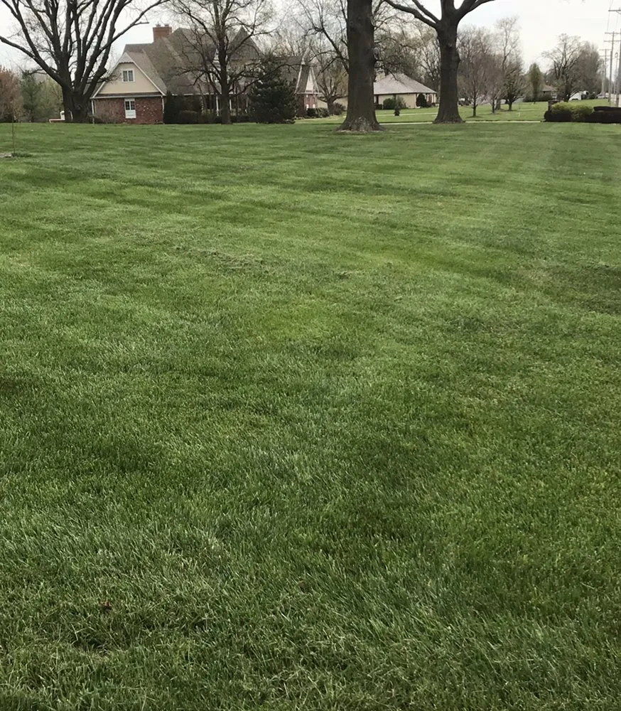 Professional lawn care service for homes in Lamar, MO by Oasis Lawn Care Services