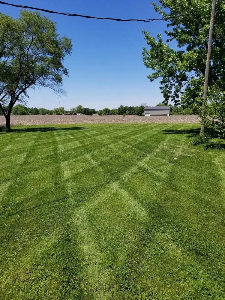 Reliable lawn mowing service for residential properties across Swansea, IL - Oasis Lawn Care