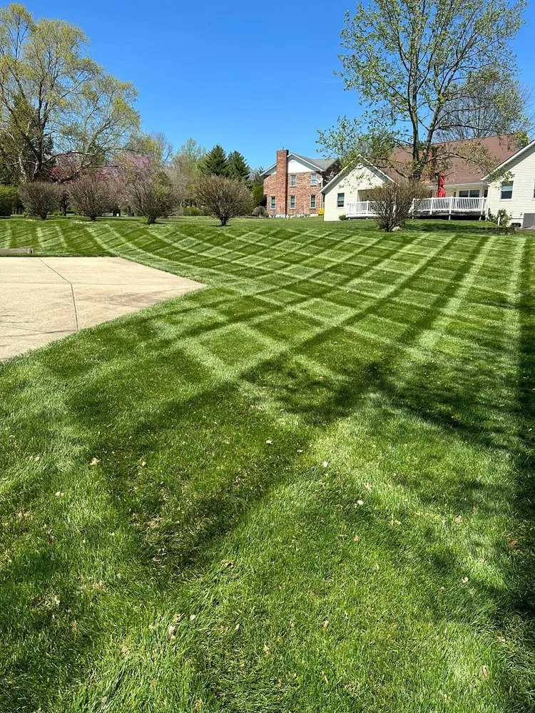 Custom yard cleanup service for homes in Swansea, IL by Oasis Lawn Care