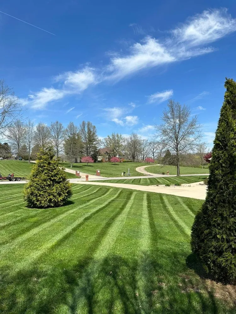 Affordable landscape installation in Swansea, IL by Oasis Lawn Care