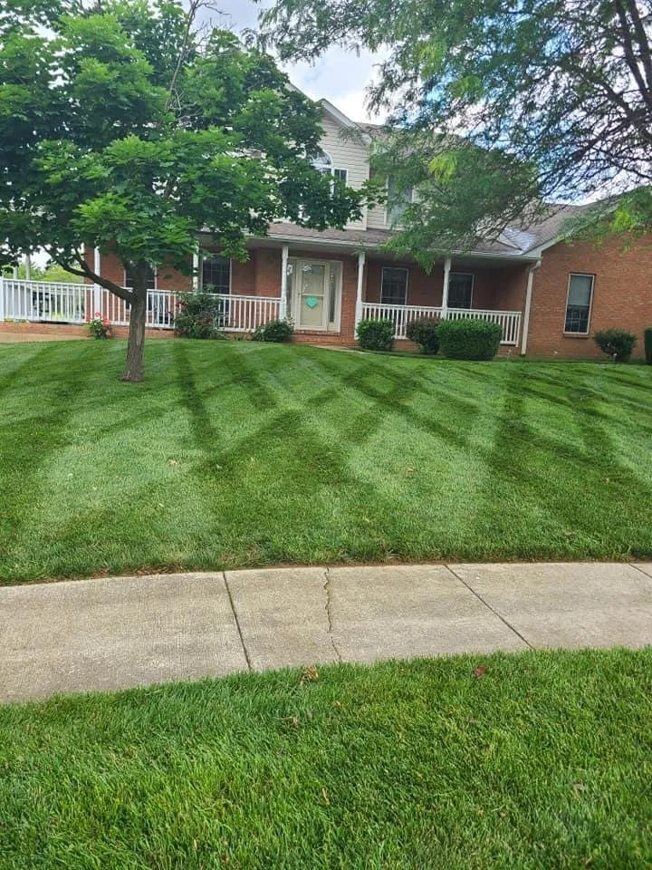 Top-rated landscaping services for homes in Swansea, IL by Oasis Lawn Care
