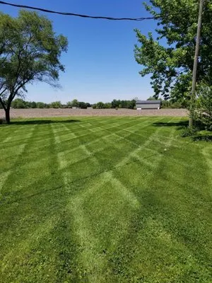 Oasis Lawn Care Logo